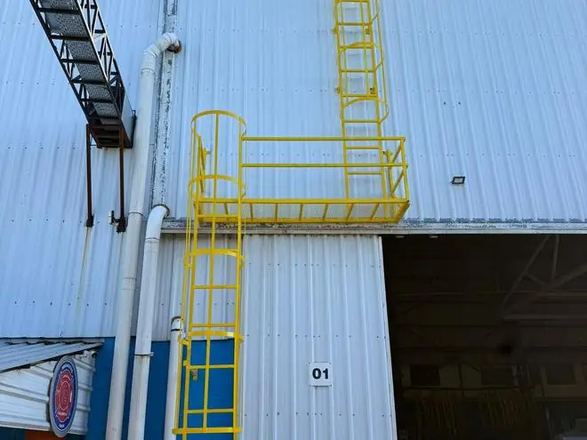 Escalera con jaula y plataforma de acceso · Saldivia Buses