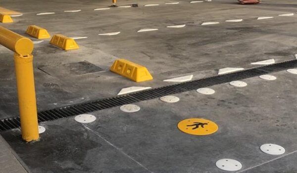 64634287_2190343984519573_893281639117881344_n